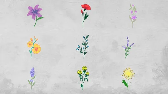 Flowers Elements 51586187 Videohive